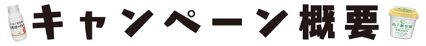 キャンペーン概要